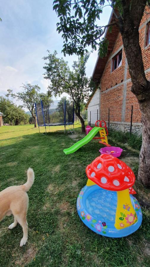 Popasul Galesean Galesu Exterior foto