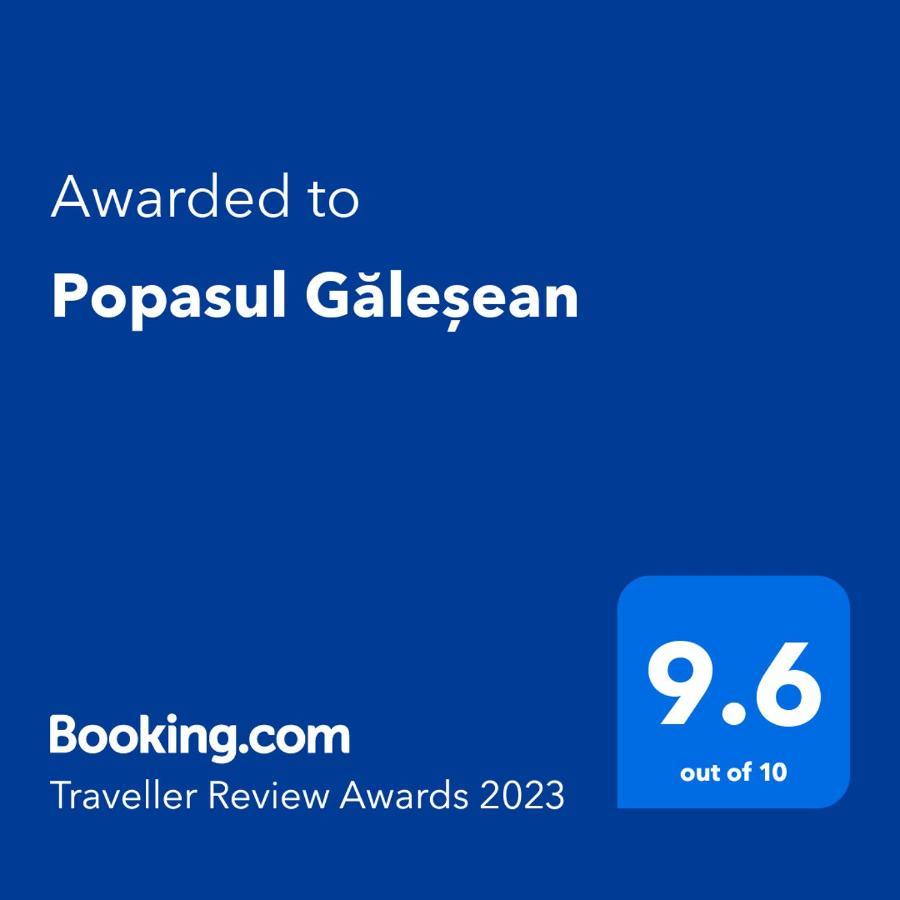 Popasul Galesean Galesu Exterior foto